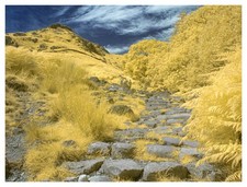 Converted Infrared IR Full