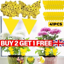 41X Yellow Sticky Traps for