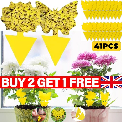 41x yellow sticky - 41x,