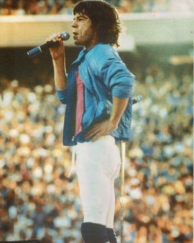Mick jagger the - jagger,