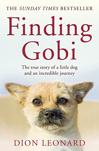 Finding gobi - (main, edition)