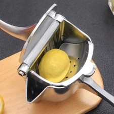Hand Operated Fruit Press