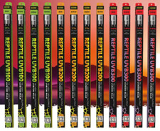 Exo terra reptile uvb bulbs - exo,