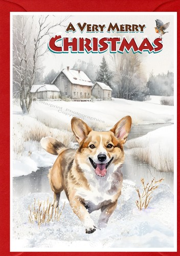 Corgi dog christmas - christmas, card