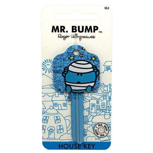 Bump door key blank - door,