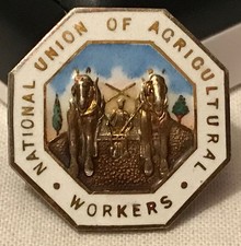 9ct HM'd Gold & Enamel National Union Of Agricultural Workers Service Badge 10g