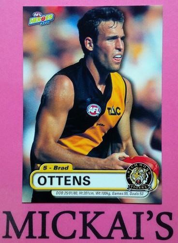 Afl heroes richmond - afl, football