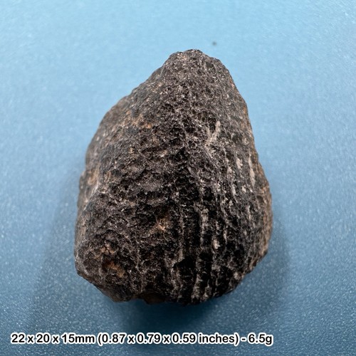 Agni manitite tektite - ,