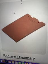 Rosemary 6 1 2 plain - 1/2, x