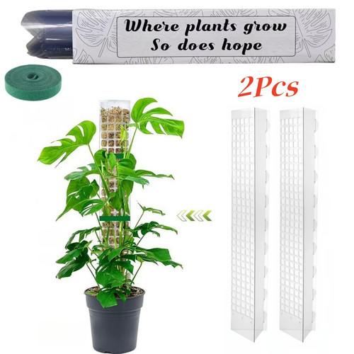 Indoor moss pole for - indoor,
