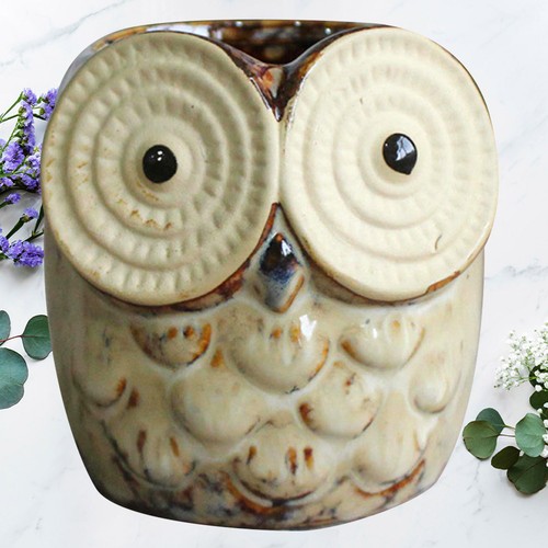 Ceramic succulent containers - ceramic,
