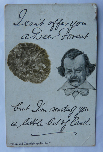 Edwardian novelty postcard - edwardian,