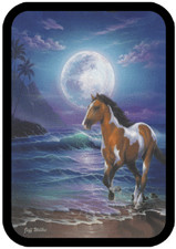 Large Black Tin with