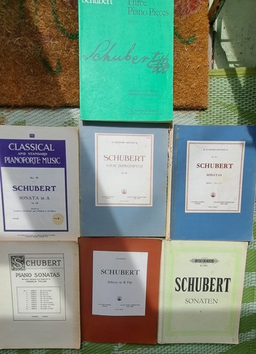 Schubert piano sheet music - piano,