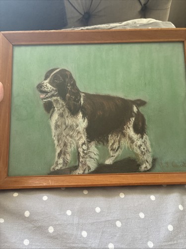 Painting a springer - a,