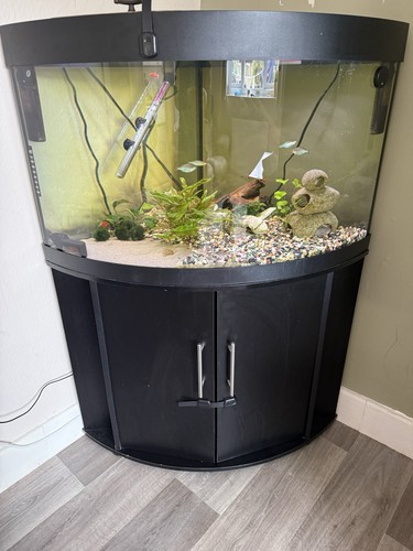 Juwel trigon 190 corner fish - juwel,