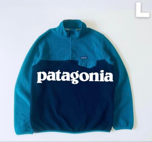 Patagonia synchilla snap - patagonia,