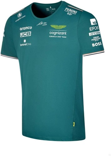 Aston martin team - team, fernando