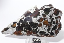 Seymchan  pallasite meteorite