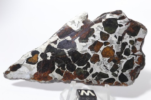 Seymchan pallasite meteorite - seymchan,