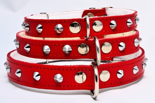 Studded real leather dog puppy - real,