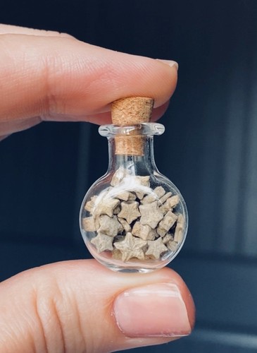 Bottle crinoid star - a,