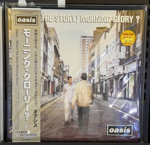 Oasis morning glory - oasis,