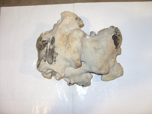 Flint hag stone - flint,
