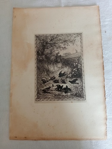 Old engraving eau forte jean - engraving,