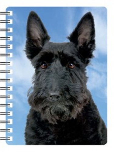 Scottish terrier notebook - terrier,, 3d