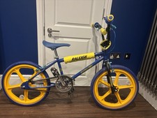 40th Anniversary Raleigh