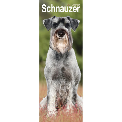 Schnauzer slim 2027 - schnauzer, |