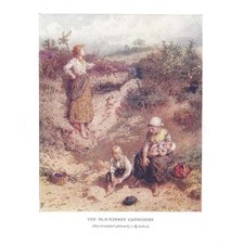MYLES BIRKET FOSTER Blackberry