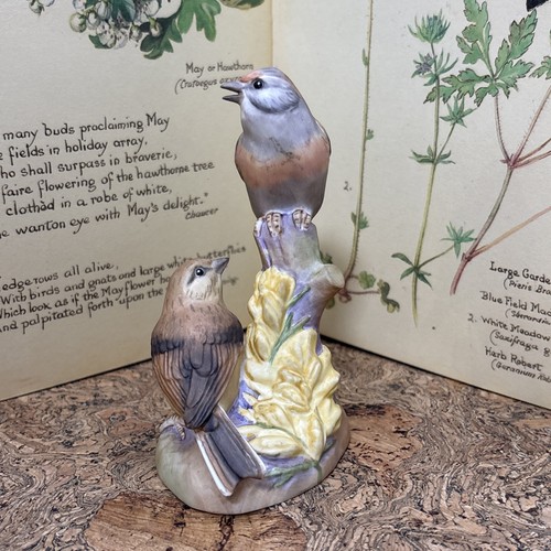 Vintage royal worcester bone - vintage,