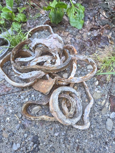 Scrap lead pounds - lead,