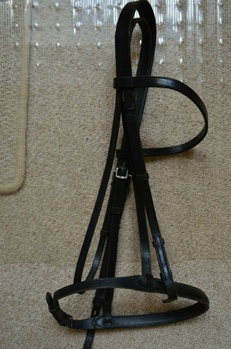 Bridle english full - english, size