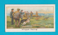 SPORTS RECORDS - CARD  NO. 37  -  WHIPPET  RACING  -  BOGUSLAVSKY -  1925