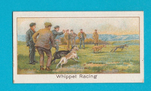 Sports records card no 37 - sports,