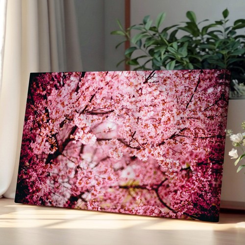 Pink cherry blossom tree - pink,