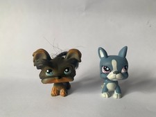 Littlest Pet Shop Blue Boston Terrier #1025 and Black/Brown Yorkie #141 