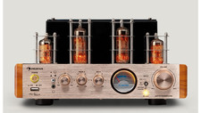 Auna Amp VT Tube Amplifier