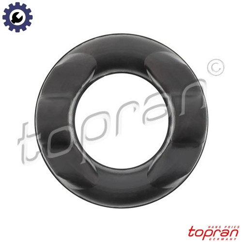 Mount exhaust system - exhaust,