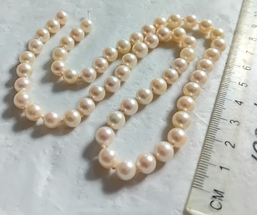 Cream genuine pearl bead - genuine,
