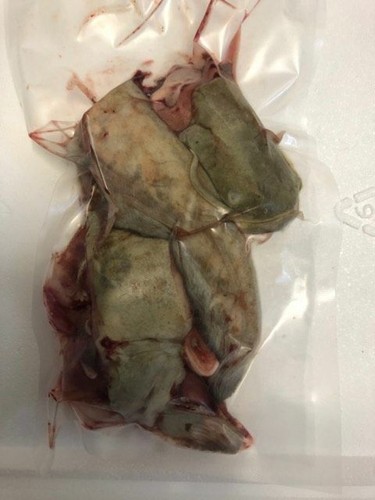 Frozen catfish chunks - frozen,