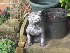 Staffordshire Bull Terrier