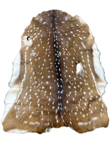 Axis deer skin second - skin, grade