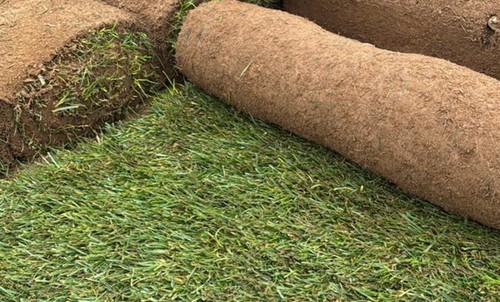 Contract turf per metre - contract,