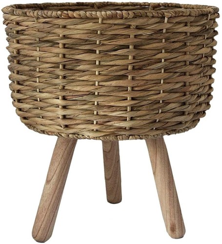Woven plant pot with - plant,