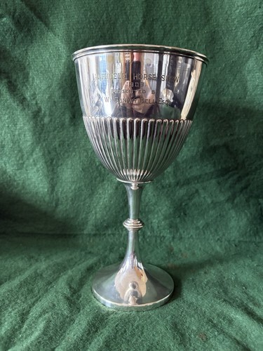 Large silver plated trophy - large,