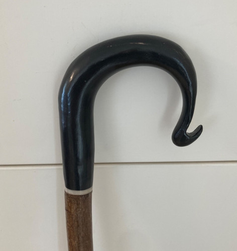Buffalo horn crook on hazel - buffalo,